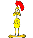 Jolly chicken